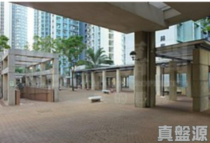 錦泰苑 錦富閣 (A座) - 28NTS – 香港北部都會區