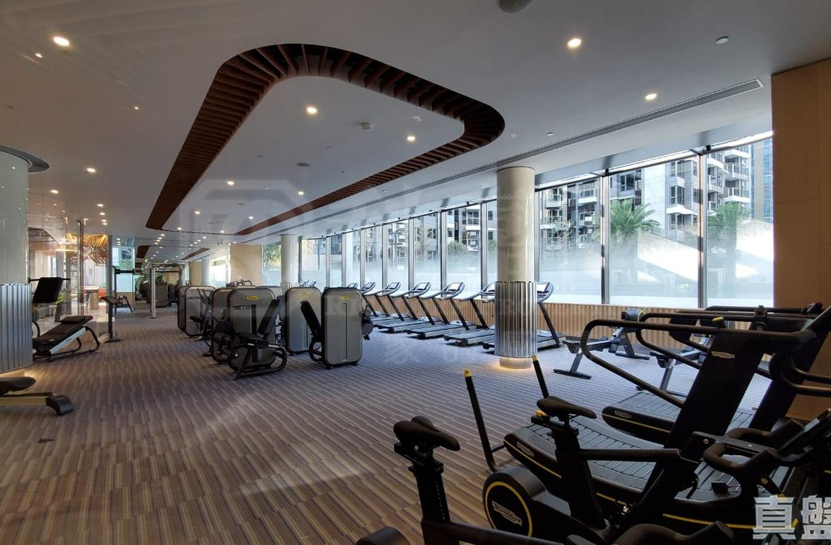 嘉熙 9座 - 28NTS – 香港北部都會區