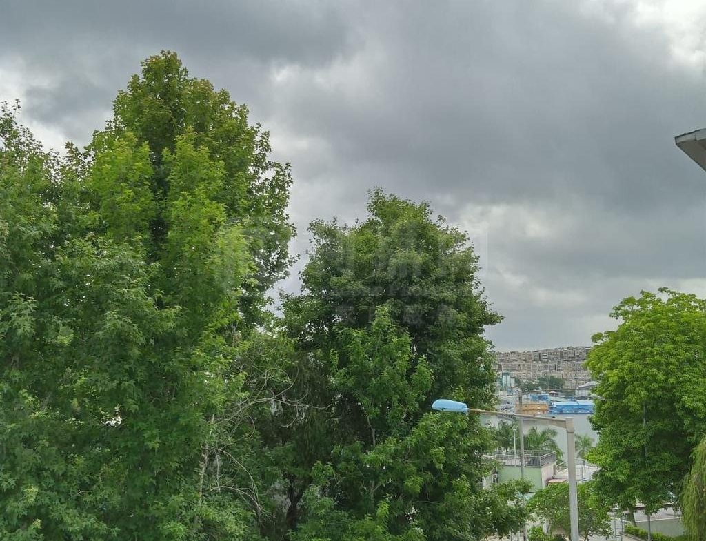 雅景花園 - 28NTS – 香港北部都會區