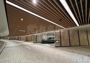 雲海 2期 雲海別墅 - 28NTS – 香港北部都會區