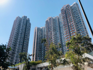 上水名都 柏林閣 (1座) - 28NTS – 香港北部都會區