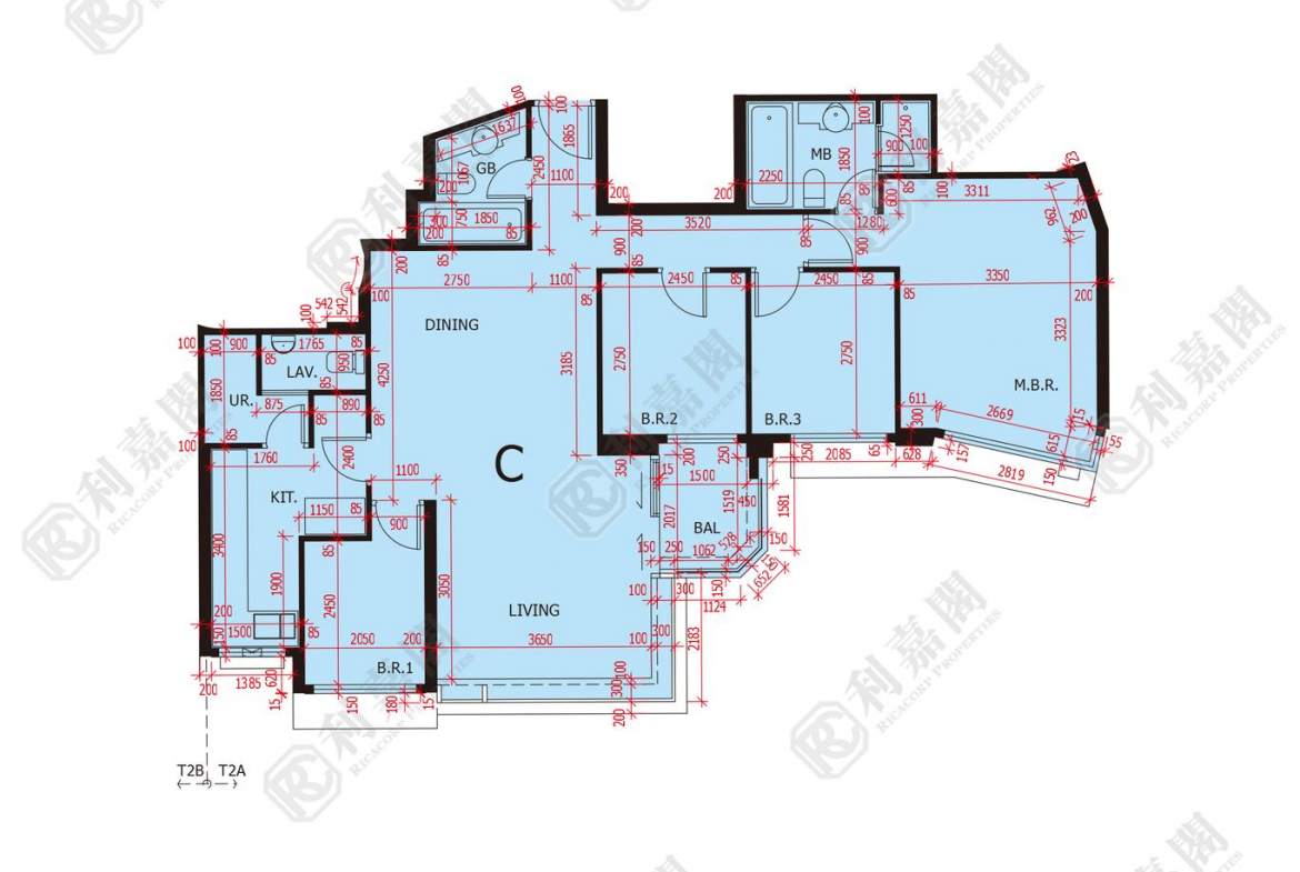 星漣海 2A座 - 28NTS – 香港北部都會區