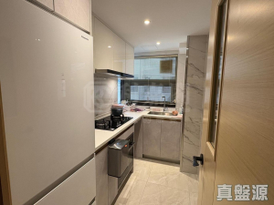 1763491691f14d43a7-5c73-4ad6-8a3d-6bc5e427afed.jpeg 沙田廣場 銀星閣 (B座) - 28NTS – 香港北部都會區