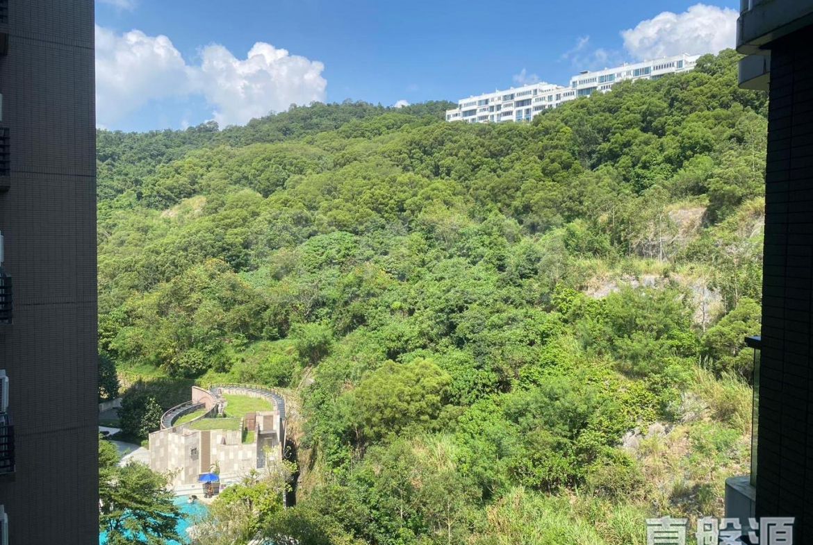 玖瓏山 日瓏閣 第1座 - 28NTS – 香港北部都會區