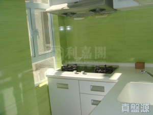 好運中心 棕林閣 (B1座) - 28NTS – 香港北部都會區