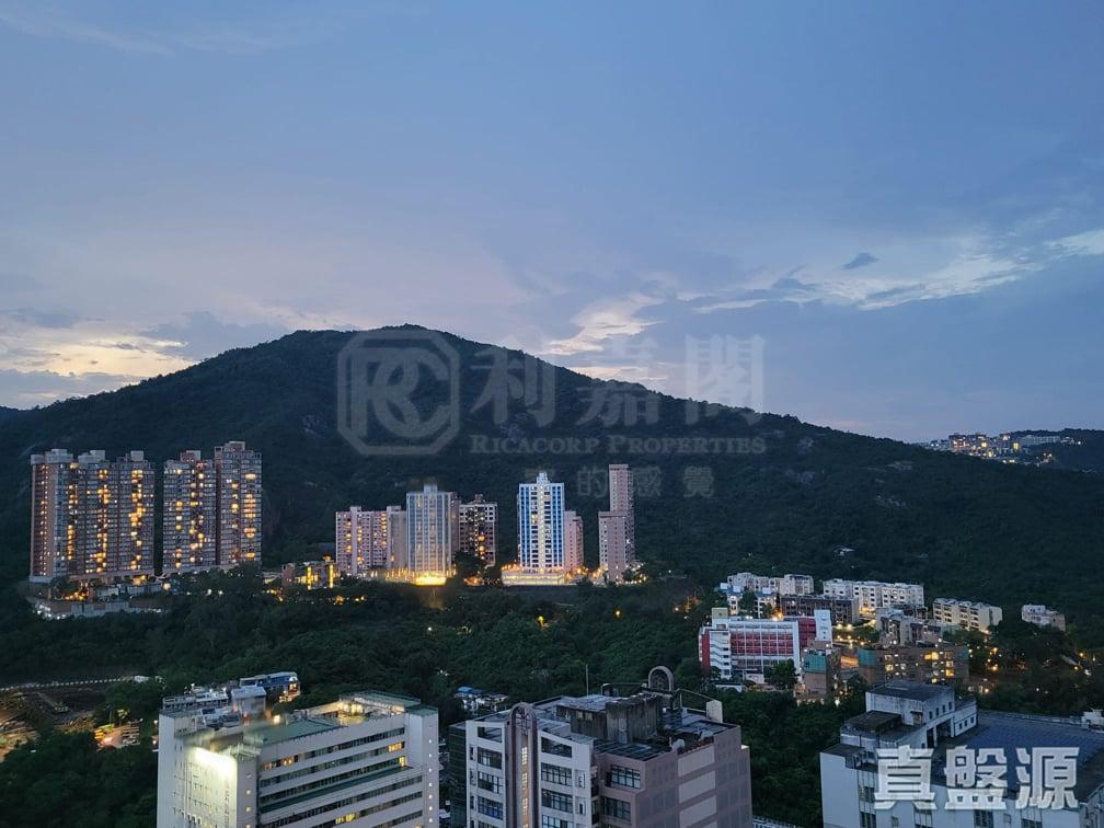 星凱．堤岸 1座 - 28NTS – 香港北部都會區