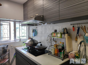 廣林苑 興林閣 (A座) - 28NTS – 香港北部都會區