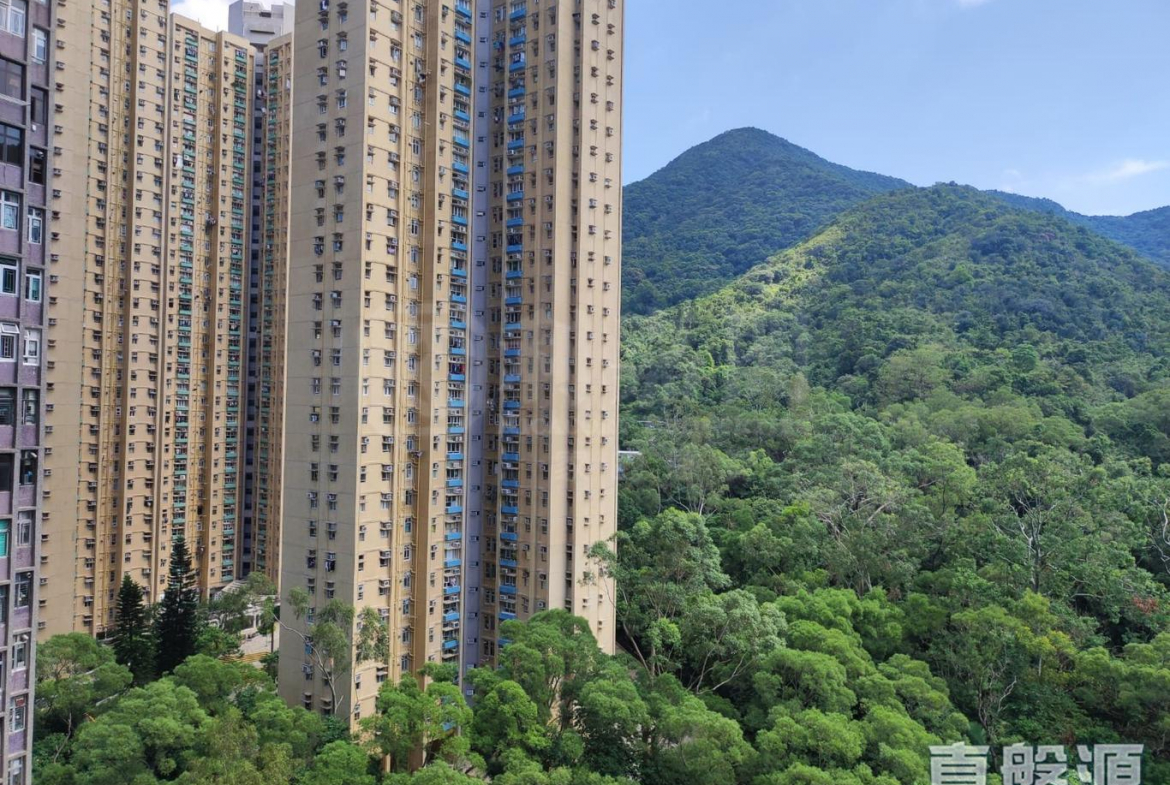 廣林苑 興林閣 (A座) - 28NTS – 香港北部都會區