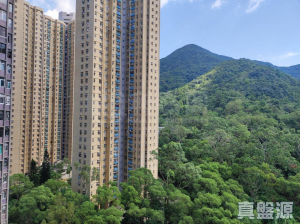 廣林苑 興林閣 (A座) - 28NTS – 香港北部都會區