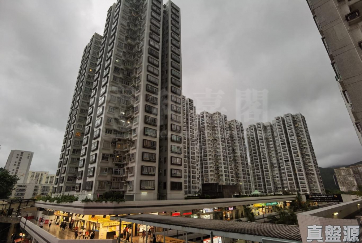 好運中心 棕林閣 (B1座) - 28NTS – 香港北部都會區