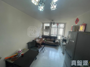 天頌苑 頌臺閣 (B座) - 28NTS – 香港北部都會區