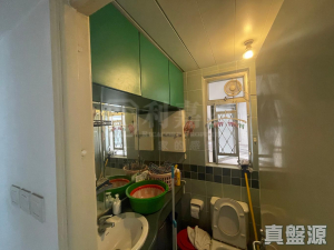 天頌苑 頌臺閣 (B座) - 28NTS – 香港北部都會區