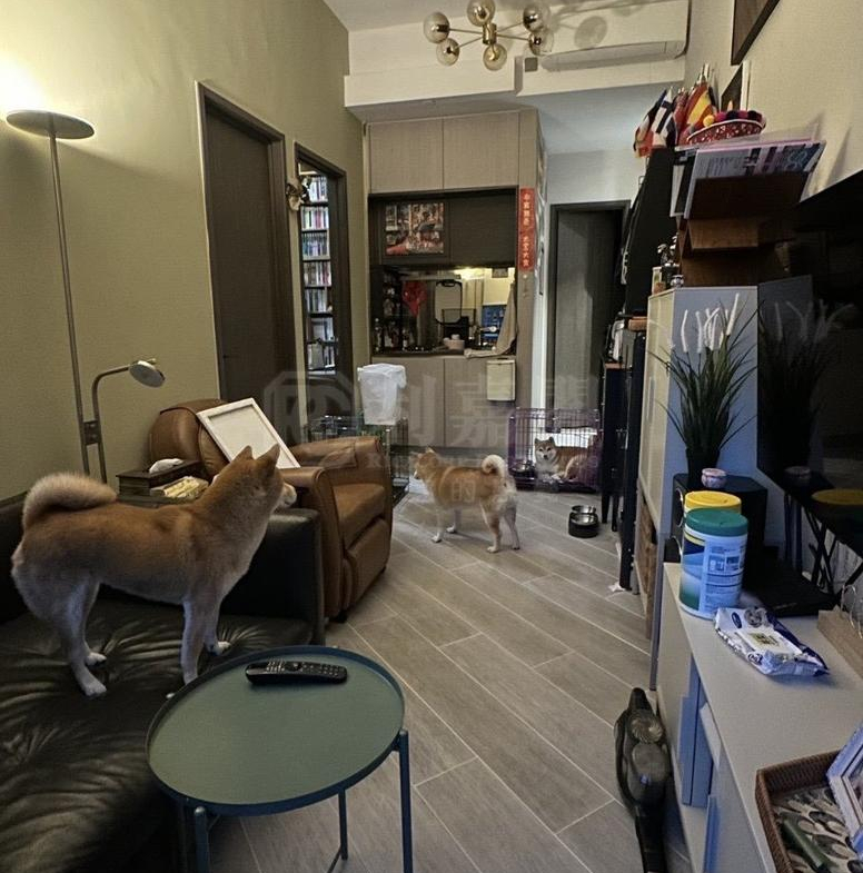 帝御 2期 帝御‧星濤 1座 - 28NTS – 香港北部都會區