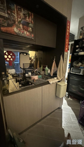 帝御 2期 帝御‧星濤 1座 - 28NTS – 香港北部都會區