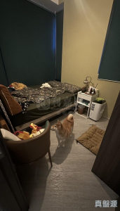 帝御 2期 帝御‧星濤 1座 - 28NTS – 香港北部都會區