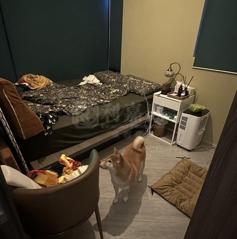 帝御 2期 帝御‧星濤 1座 - 28NTS – 香港北部都會區