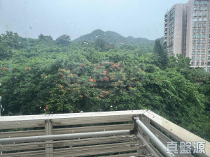 1763716384a008c4bc-4d64-4ef6-b543-51898b10c068.jpeg 翠濤居 2座 - 28NTS – 香港北部都會區