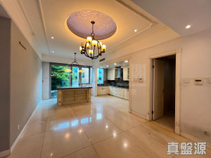 葡萄園 - 28NTS – 香港北部都會區