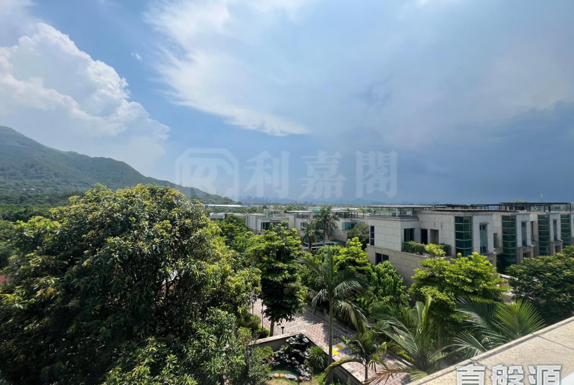 葡萄園 - 28NTS – 香港北部都會區