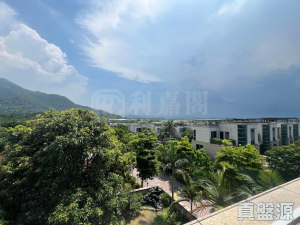 葡萄園 - 28NTS – 香港北部都會區