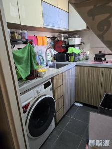 尚翠苑 B座 (翠河閣) - 28NTS – 香港北部都會區