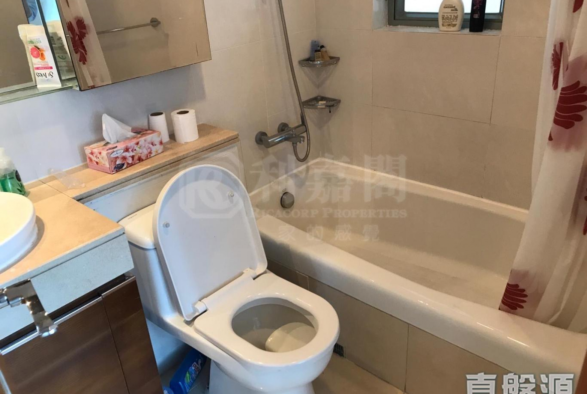 藍天海岸 3期 影岸‧紅 B座 (8座) - 28NTS – 香港北部都會區