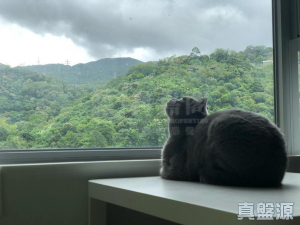 荃景花園 2期 10座 - 28NTS – 香港北部都會區