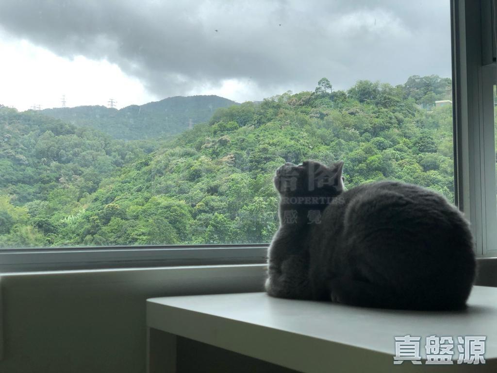 荃景花園 2期 10座 - 28NTS – 香港北部都會區