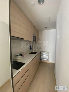 17637184961eabcdac-5cf9-42c4-a5f1-b98803f9d9a0.jpeg 豐寓 - 28NTS – 香港北部都會區