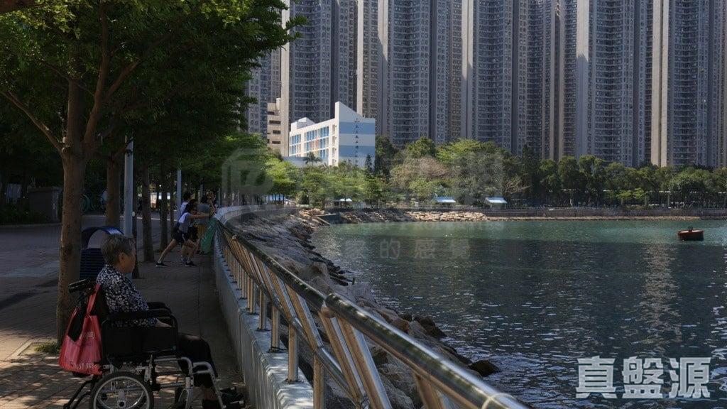海濱花園 海雅閣 (8座) - 28NTS – 香港北部都會區