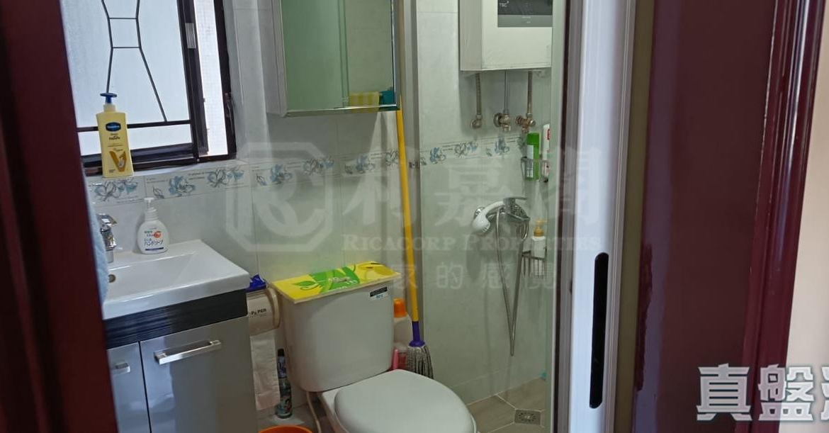 大興花園 2期 1座 - 28NTS – 香港北部都會區