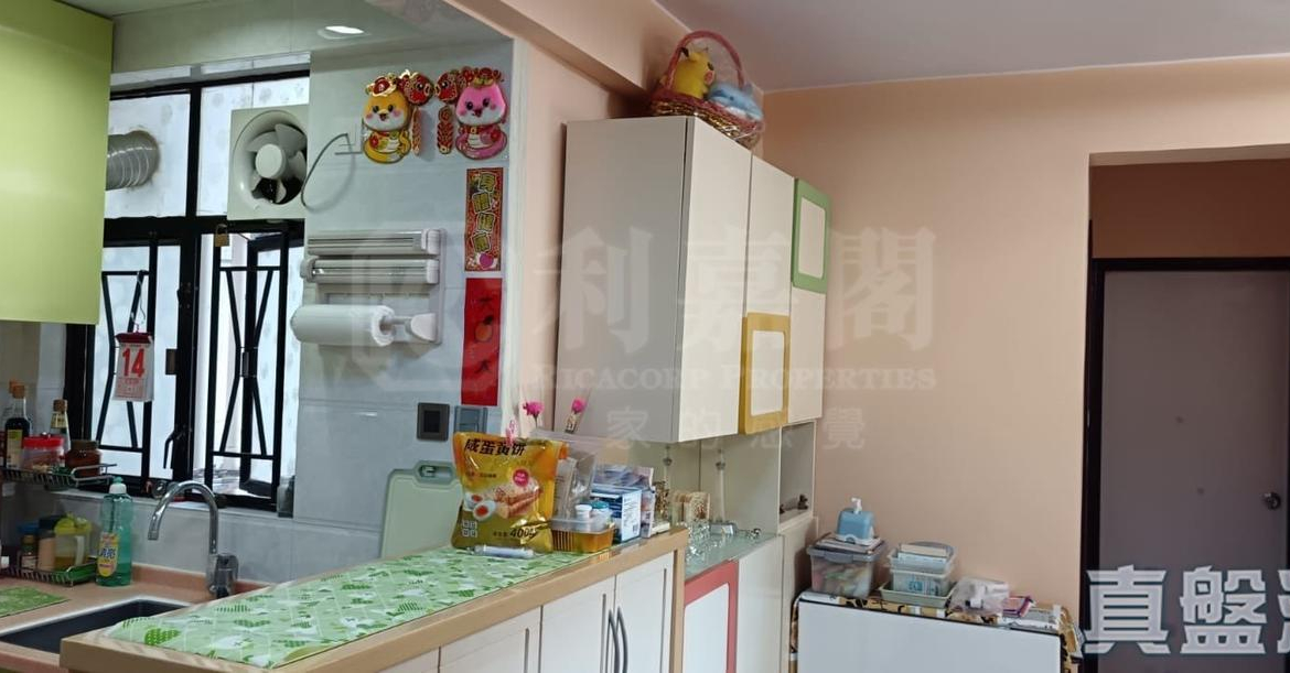 大興花園 2期 1座 - 28NTS – 香港北部都會區