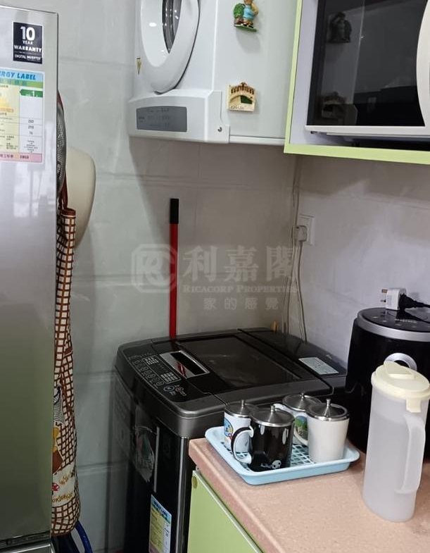 大興花園 2期 1座 - 28NTS – 香港北部都會區