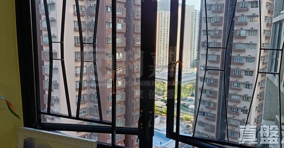 大興花園 2期 1座 - 28NTS – 香港北部都會區