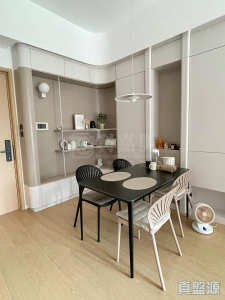 山水盈 5座 - 28NTS – 香港北部都會區