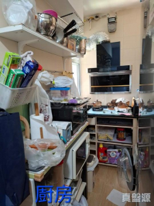 豪景花園 1期 愛都閣 (5座) - 28NTS – 香港北部都會區