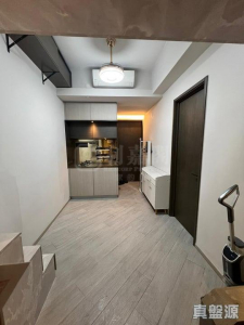 帝御 2期 帝御‧星濤 2座 - 28NTS – 香港北部都會區