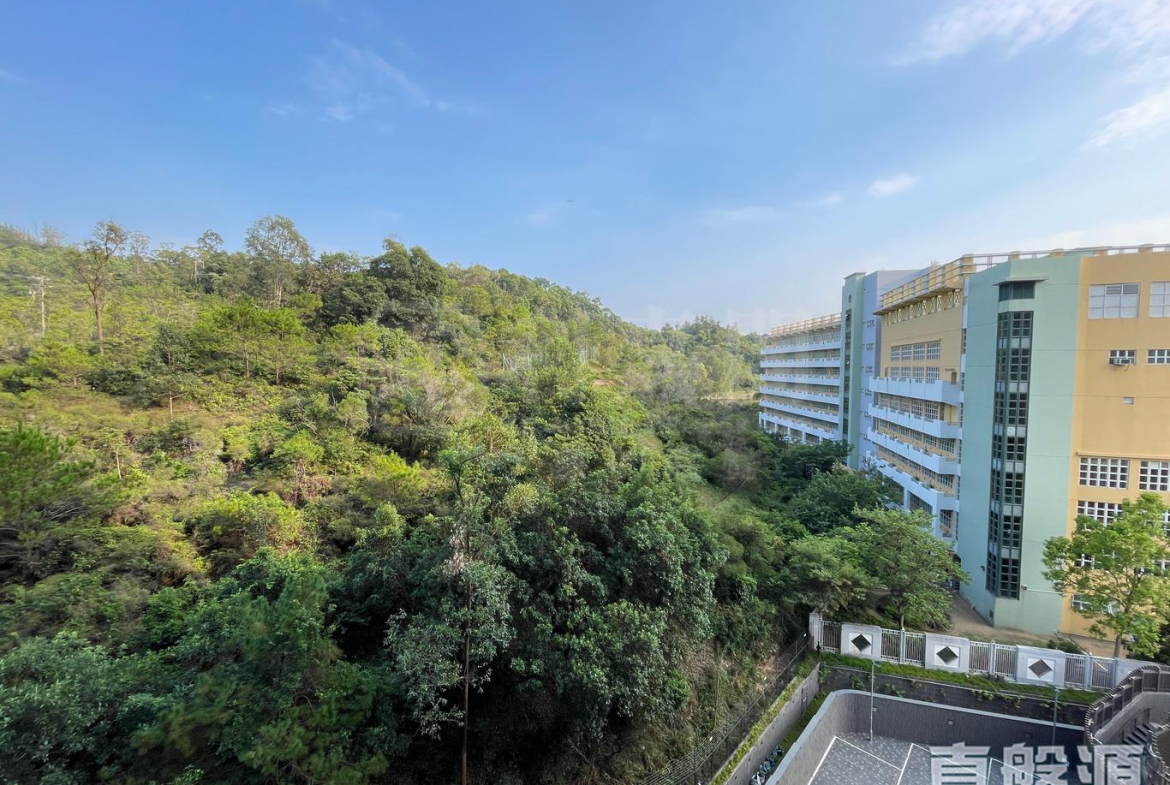 上源 6A座 - 28NTS – 香港北部都會區