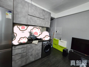 龍珠島別墅 F2座 - 28NTS – 香港北部都會區