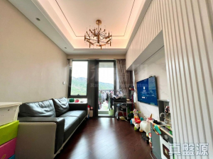 緹岸 1期 1座 - 28NTS – 香港北部都會區