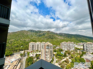 緹岸 1期 1座 - 28NTS – 香港北部都會區