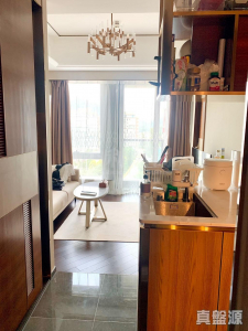 緹岸 1期 1A座 - 28NTS – 香港北部都會區