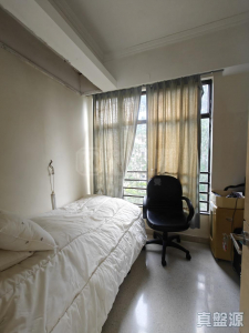 龍珠島花園 4座 - 28NTS – 香港北部都會區