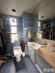 龍珠島花園 4座 - 28NTS – 香港北部都會區