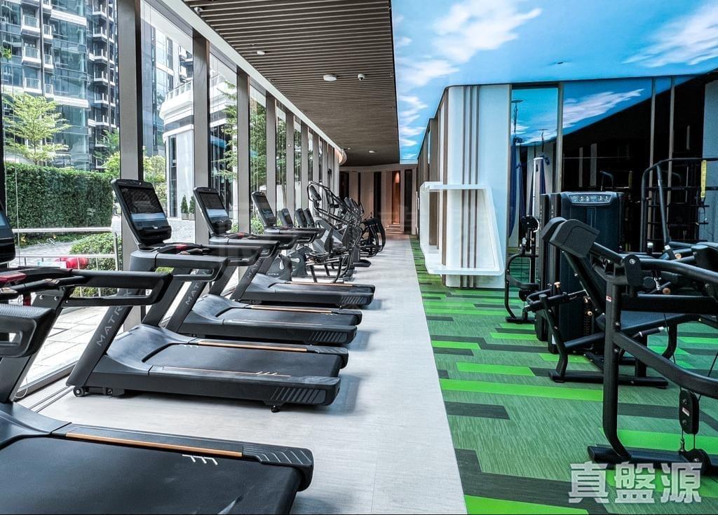 帝御 3期 帝御‧嵐天 6座 - 28NTS – 香港北部都會區