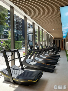 帝御 3期 帝御‧嵐天 6座 - 28NTS – 香港北部都會區