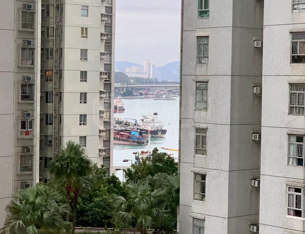 麗城花園 2期 6座 - 28NTS – 香港北部都會區