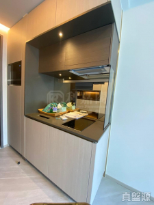 1763729589f0b91e58-b3cd-4b92-bdde-a82d032d7d9b.jpeg 帝御 2期 帝御‧星濤 1座 - 28NTS – 香港北部都會區