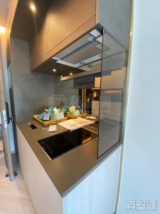 17637296128f138658-6f6d-4f88-a3a3-d5cd99f68d1a.jpeg 帝御 2期 帝御‧星濤 1座 - 28NTS – 香港北部都會區