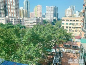 好旺洋樓 - 28NTS – 香港北部都會區